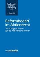 bokomslag Reformbedarf im Aktienrecht