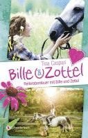 bokomslag Bille und Zottel - Reiterabenteuer mit Bille und Zottel