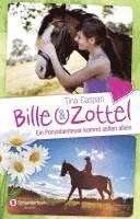 bokomslag Bille und Zottel - Ein Ponyabenteuer kommt selten allein