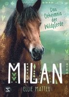 bokomslag Milan - Das Geheimnis der Wildpferde