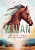 bokomslag Milan - Das Geheimnis der Wildpferde