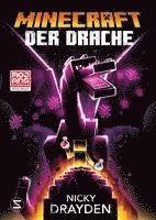 Minecraft - Der Drache 1