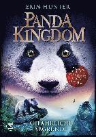 Erin Hunter - Panda Kingdom - Gefährliche Abgründe, Inbunden