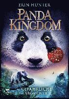 Panda Kingdom - Gefährliche Abgründe 1