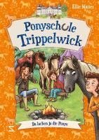 bokomslag Ponyschule Trippelwick - Da lachen ja die Ponys