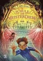 bokomslag Schule der Meisterdiebe 2: Das vergessene Labyrinth