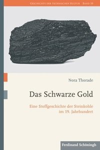 bokomslag Das Schwarze Gold: Eine Stoffgeschichte Der Steinkohle Im 19. Jahrhundert