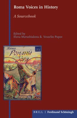 bokomslag Roma Voices in History: A Sourcebook