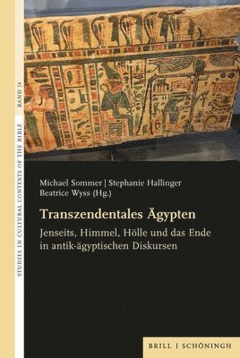 bokomslag Transzendentales Agypten: Jenseits, Himmel, Holle Und Das Ende in Antik-Agyptischen Diskursen