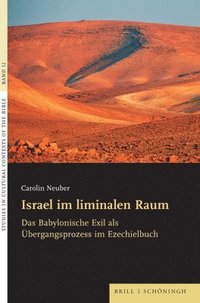 bokomslag Israel im liminalen Raum