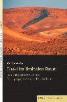 bokomslag Israel Im Liminalen Raum: Das Babylonische Exil ALS Ubergangsprozess Im Ezechielbuch