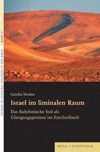 bokomslag Israel Im Liminalen Raum: Das Babylonische Exil ALS Ubergangsprozess Im Ezechielbuch