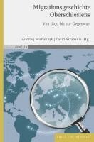 bokomslag Migrationsgeschichte Oberschlesiens: Von 1800 Bis Zur Gegenwart