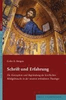 Schrift Und Erfahrung: Die Konzeption Und Begrundung Des Kirchlichen Bibelgebrauchs in Der Neueren Orthodoxen Theologie 1