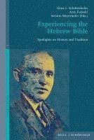bokomslag Experiencing the Hebrew Bible