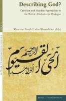 bokomslag Describing God?: Christian and Muslim Approaches to the Divine Attributes in Dialogue