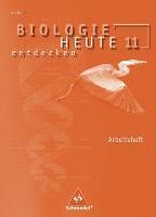 bokomslag Biologie heute entdecken 11. Arbeitsheft. Sekundarstufe 2. Sachsen