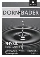 bokomslag Dorn / Bader Physik SII 2. Lösungen zum Arbeitsheft