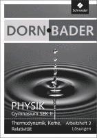 bokomslag Dorn / Bader Physik SII 3. Lösungen zum Arbeitsheft