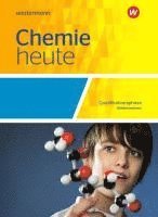 bokomslag Chemie heute SII. Qualifikationsphase: Schulbuch. Niedersachsen