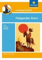bokomslag Titel Fliegender Stern. Lesebegleitheft