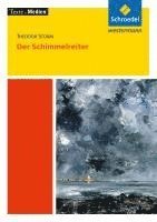bokomslag Der Schimmelreiter - Textausgabe mit Materialien