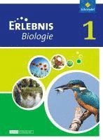 bokomslag Erlebnis Biologie 1. Schulbuch. Differenzierende Ausgabe. Niedersachsen