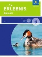 bokomslag Erlebnis Biologie 6. Schulbuch. Realschule. Bayern