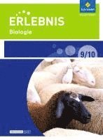 bokomslag Erlebnis Biologie 9 / 10. Schulbuch. Differenzierende Ausgabe. Sekundarschulen und Oberschulen. Berlin und Brandenburg