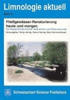 Sonja Jähnig, Daniel Hering, Mario Sommerhäuser - Fließgewässer-Renaturierung heute und morgen, Häftad