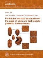 Functional surface structures on the eggs of stick and leaf insects (Insecta: Phasmatodea) 1