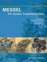 bokomslag MESSEL - Ein fossiles Tropenökosystem