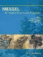 bokomslag MESSEL - An Ancient Greenhouse Ecosystem