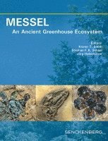 Krister T. Smith, Stephan F. K. Schaal, Jörg Habersetzer - MESSEL - An Ancient Greenhouse Ecosystem, Inbunden