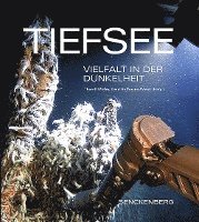 Tiefsee 1