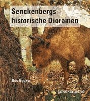 bokomslag Senckenbergs historische Dioramen