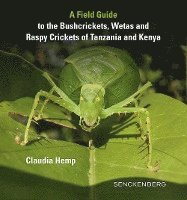 bokomslag A Field Guide to the Bushcrickets, Wetas and Raspy Crickets of Tanzania and Kenya