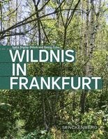 bokomslag Wildnis in Frankfurt