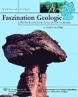 bokomslag Faszination Geologie