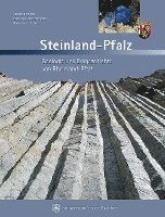 bokomslag Steinland Pfalz