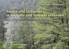 bokomslag Bäume und Sträucher in Frühjahr und Sommer erkennen