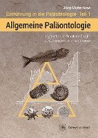 bokomslag Allgemeine Paläontologie