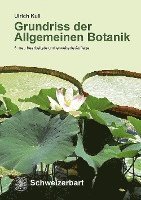 bokomslag Grundriss der Allgemeinen Botanik
