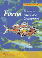 Manfred Klinkhardt - Fische, Inbunden