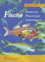 Fische 1