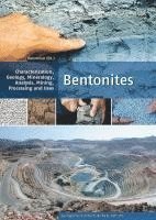 bokomslag Bentonites