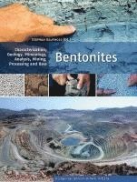 Stephan Kaufhold - Bentonites, Inbunden