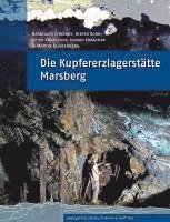 bokomslag Die Kupfererzlagerstätte Marsberg