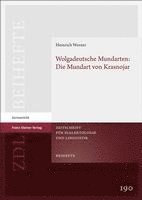 bokomslag Wolgadeutsche Mundarten: Die Mundart Von Krasnojar