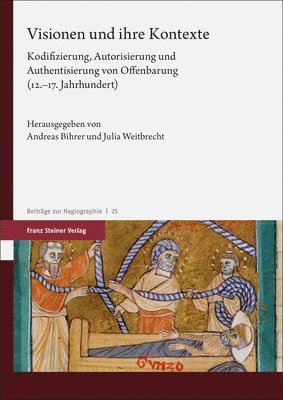 Andreas Bihrer, Julia Weitbrecht - Visionen Und Ihre Kontexte: Kodifizierung, Autorisierung Und Authentisierung Von Offenbarung (12.-17. Jahrhundert), Häftad